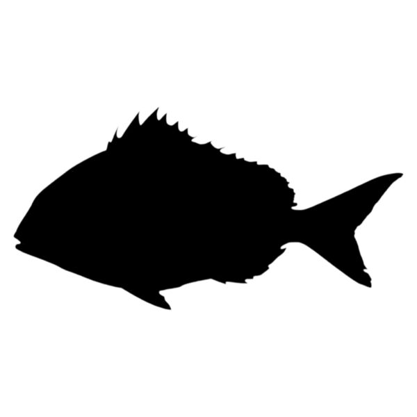 1CD49BE6 77E7 486D A9FA 9CF9BDE2 Thumbnail